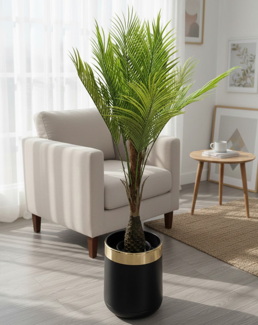 Indoor & Outdoor Plants