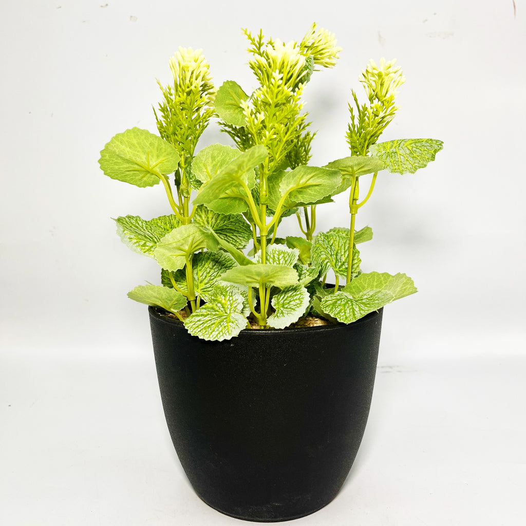 Leafy Desk Plant