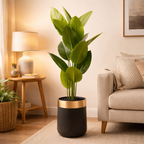Luxury Artificial Banana Leaf Plant with Black & Gold Decorative Pot