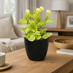 Leafy Desk Plant