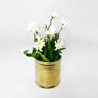 Modern Metallic Cylinder Floral Accent