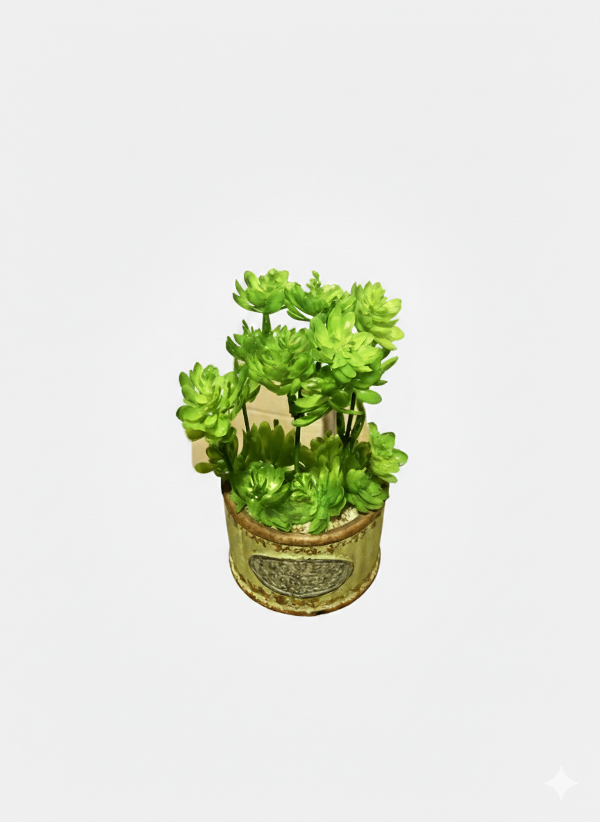 Mud Pot Green Plant