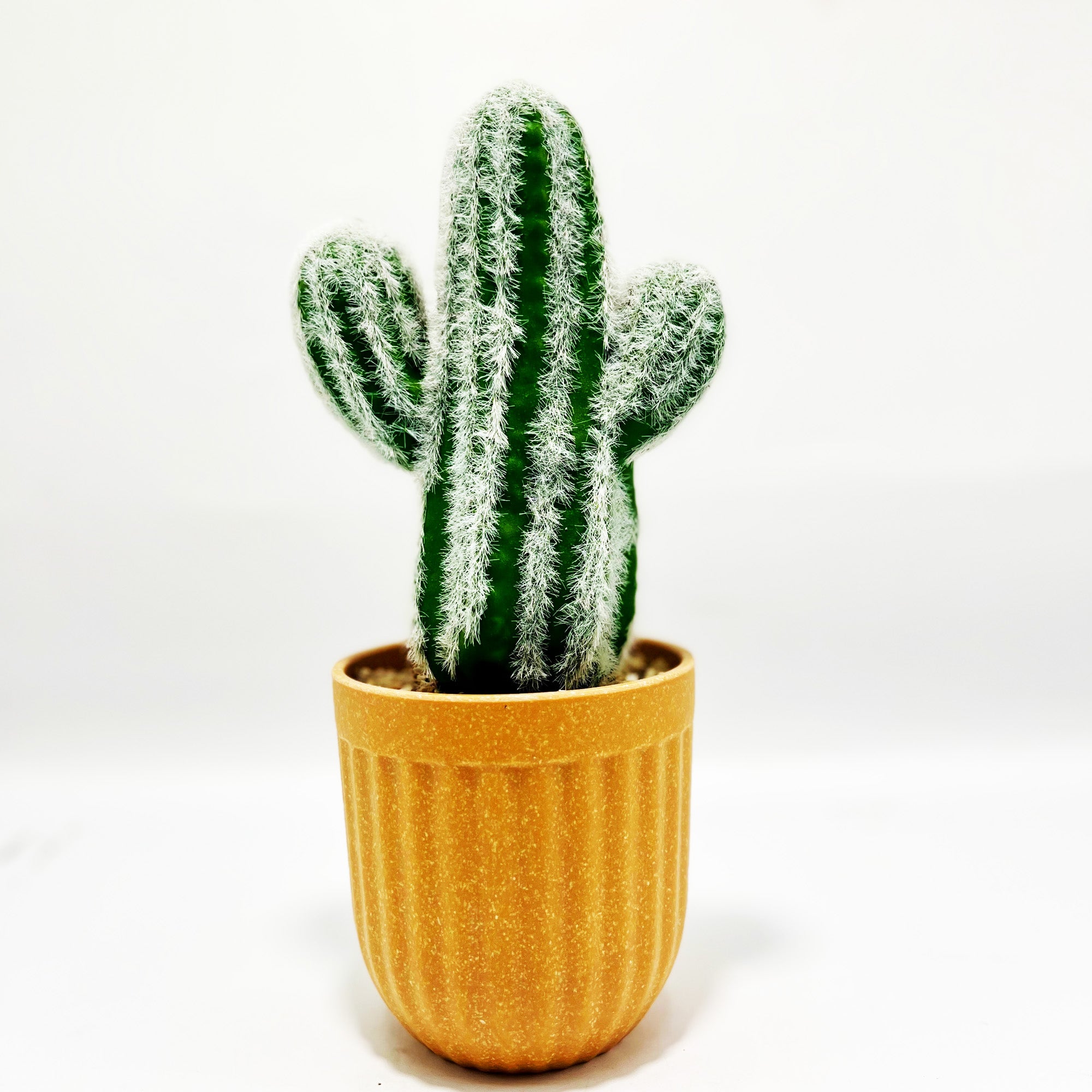 Artificial Potted Cacti