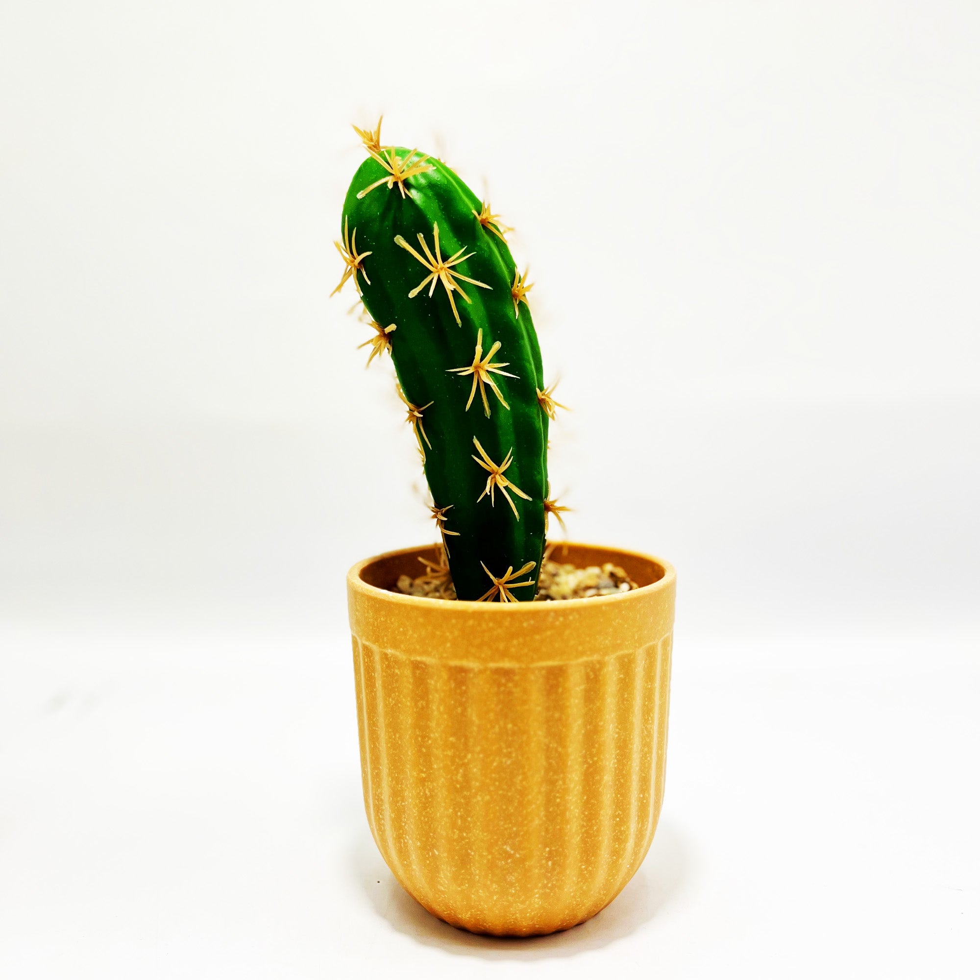 Artificial Potted Cacti