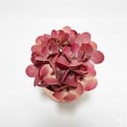 Geometric Textured Artificial Potted Plant