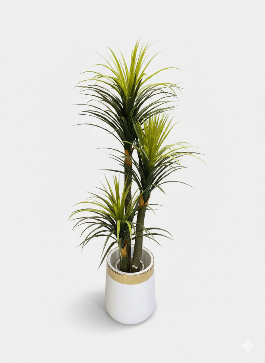 Verdant Triple-Tier Dracaena