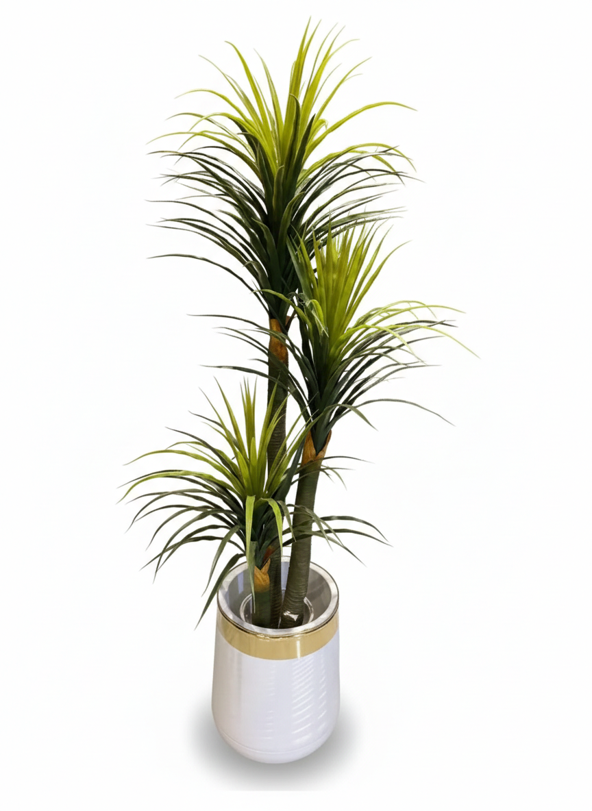 Verdant Triple-Tier Dracaena