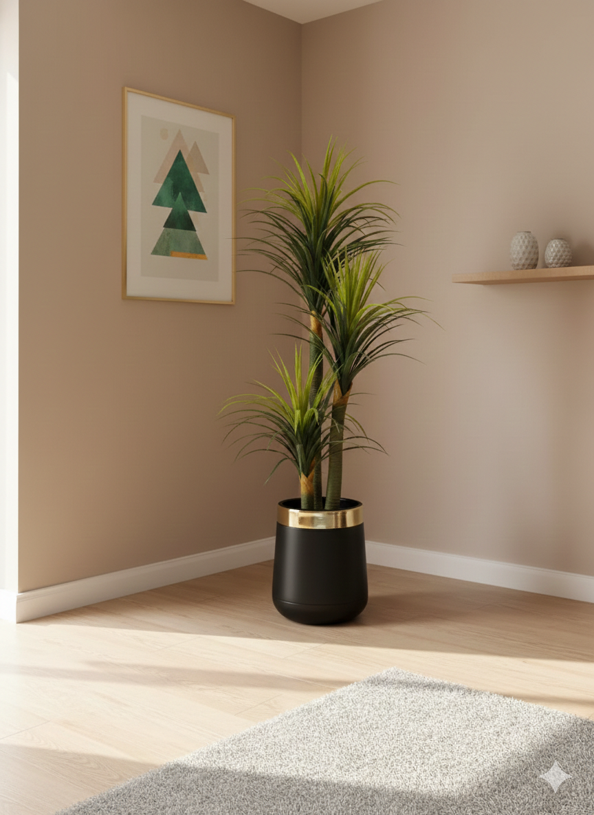 Verdant Triple-Tier Dracaena